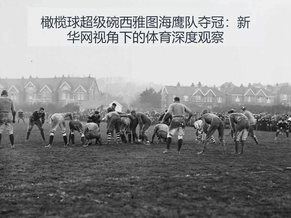 橄榄球超级碗西雅图海鹰队夺冠：体育深度观察
